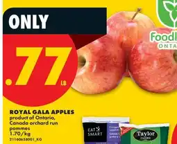 No Frills ROYAL GALA APPLES offer