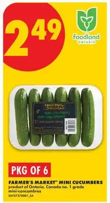 No Frills FARMER'S MARKET MINI CUCUMBERS, PKG OF 6 offer