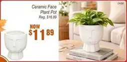 Oxford Mills Ceramic Face Plant Pot offer