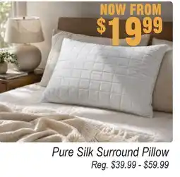 Oxford Mills Pure Silk Surround Pillow offer