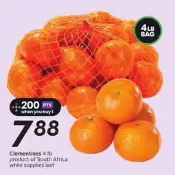 Sobeys Clementines - Big Earn offer