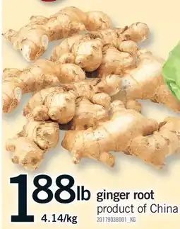 Fortinos GINGER ROOT offer