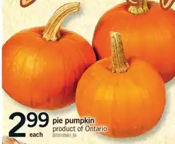 Fortinos PIE PUMPKIN offer