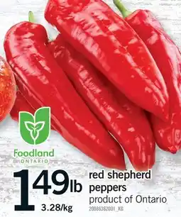 Fortinos RED SHEPHERD PEPPERS offer