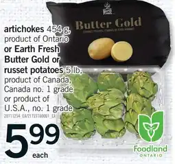 Fortinos ARTICHOKES, 454 G, OR EARTH FRESH BUTTER GOLD OR RUSSET POTATOES, 5 LB offer