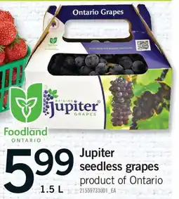 Fortinos JUPITER SEEDLESS GRAPES offer