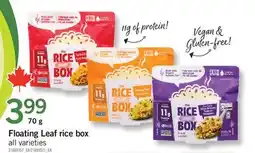 Fortinos FLOATING LEAF RICE BOX offer