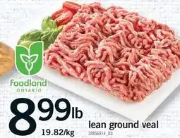 Fortinos LEAN GROUND VEAL offer