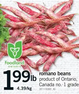 Fortinos ROMANO BEANS offer