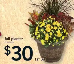 Fortinos FALL PLANTER, 12 POT offer