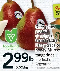 Fortinos QTEE PEARS OR HONEY MURCOT TANGERINES offer