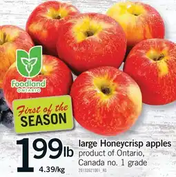 Fortinos LARGE HONEYCRISP APPLES offer