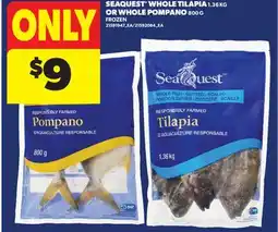 Real Canadian Superstore SEAQUEST WHOLE TILAPIA 1.36 KG OR WHOLE POMPANO, 800 G offer