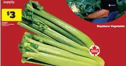 Real Canadian Superstore CELERY offer