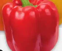 Metro WANNABEEZ SWEET PEPPERS offer