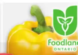 Metro WANNABEEZ SWEET PEPPERS offer