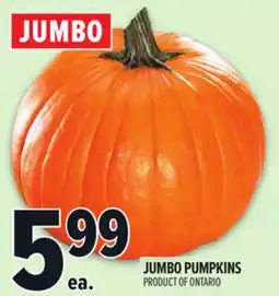 Metro JUMBO PUMPKINS offer