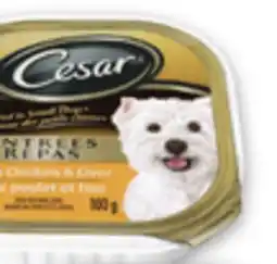 Metro CESAR WET DOG FOOD offer