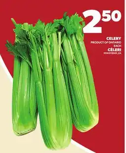 Independent City Market CELERY offer