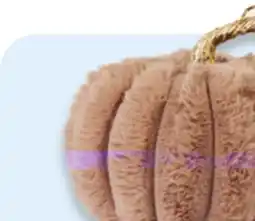 Walmart Harvest or Halloween decor offer