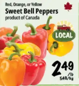 Farm Boy Red, Orange, or Yellow Sweet Bell Peppers offer