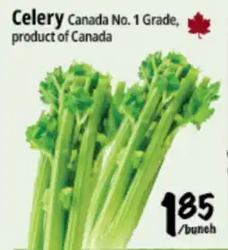 Farm Boy Celery offer