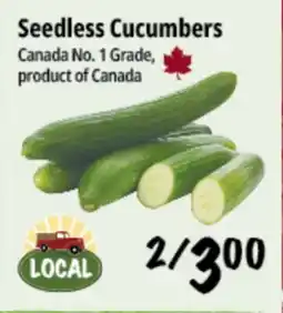 Farm Boy Seedless Cucumbers offer