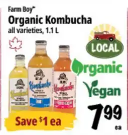 Farm Boy Farm Boy Organic Kombucha offer