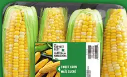 Food Basics ROMAINE HEARTS OR SWEET CORN offer