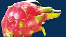 Food Basics DRAGON FRUIT - PITAHAYA offer