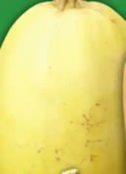 Food Basics ACORN, BUTTERCUP, BUTTERNUT OR SPAGHETTI SQUASH offer