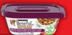 Food Basics FRISKIES CAT TREATS, 170 G AND BENEFUL DOG FOOD, 283 G offer