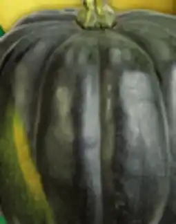 Food Basics ACORN, BUTTERCUP, BUTTERNUT OR SPAGHETTI SQUASH offer