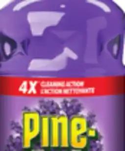 Food Basics PINE-SOL CLEANER OR CLOROX BLEACH offer