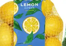 Food Basics AVOCADOS OR LEMON offer
