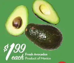 Longo's Fresh Avocados offer