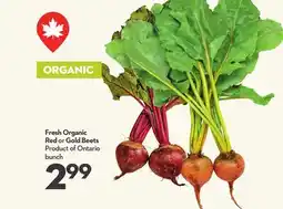 Longo's Fresh Organic Red or Gold Beets offer