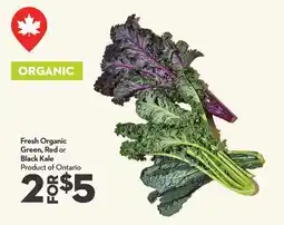 Longo's Fresh Organic Green, Red or Black Kale offer