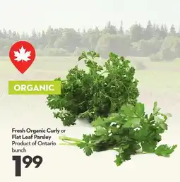 Longo's Fresh Organic Curly or Flat Leaf Parsley offer