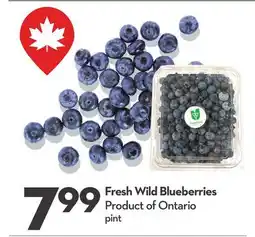 Longo's Fresh Wild Blueberries offer
