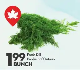 Longo's Fresh Dill offer