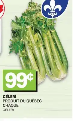 L'Intermarché CÉLERI | CELERY offer
