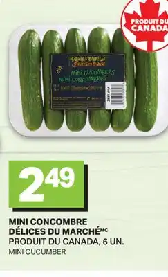 L'Intermarché MINI CONCOMBRE | MINI CUCUMBER, 6 UN offer