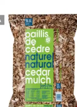 BMR PAILLIS DE CÈDRE offer