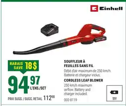 BMR SOUFFLEUR À FEUILLES SANS FIL offer