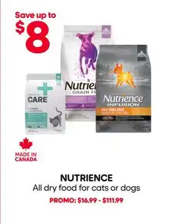 Mondou NUTRIENCE All dry food for cats or dogs offer