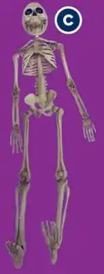 RONA Skeleton 18.5 offer