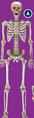 RONA LED decorative skeleton offer