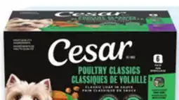 Walmart Cesar wet dog food offer