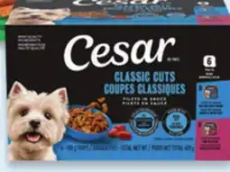Walmart Cesar wet dog food offer